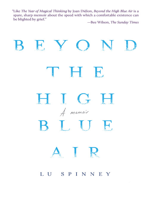 Title details for Beyond the High Blue Air by Lu Spinney - Available